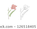 單枝玫瑰、康乃馨、花卉線描 126518405