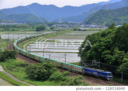 初夏運行於東海道本線上的EF210次貨運列車 126519040