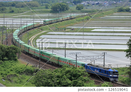 EF210 freight train running on the Tokaido Main Line in early summer 126519041