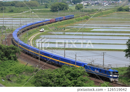 初夏運行於東海道本線上的EF210次貨運列車 126519042