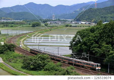 311 series train running on the Tokaido Main Line in early summer 311 series train running on the Tokaido Main Line in early summer 126519074