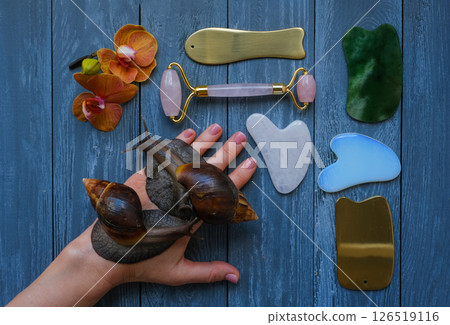 Skin care beauty concept with giant snails, face roller and guasha massagers Skin care beauty concept with giant snails, face roller and guasha massagers 126519116