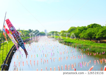 4000條鯉魚旗 126519138