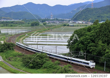The Shirasagi Express on the Tokaido Main Line in early summer 126519197