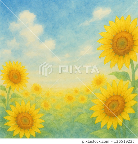 Sunflower Field Watercolor Background 126519225