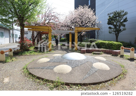 Nitta Greenway during cherry blossom season (Kohoku Ward, Yokohama City) Nitta Greenway during cherry blossom season (Kohoku Ward, Yokohama City) 126519282