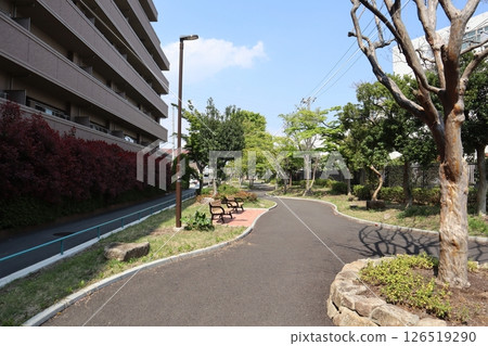 新綠時節的新田綠道(橫濱市港北區) 新綠時節的新田綠道(橫濱市港北區) 126519290
