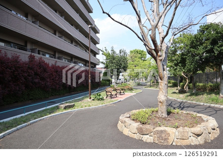 新綠時節的新田綠道（橫濱市港北區） 126519291