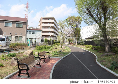 新綠時節的新田綠道(橫濱市港北區) 新綠時節的新田綠道(橫濱市港北區) 126519293