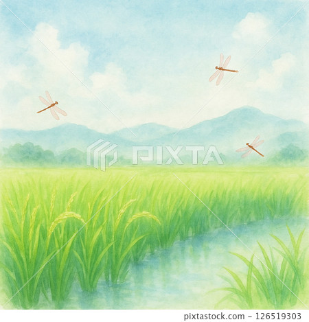 稻田與蜻蜓水彩背景 – 稻田與蜻蜓水彩 B 126519303