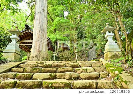 Isobe Shrine, Himi City, Toyama Prefecture Isobe Shrine, Himi City, Toyama Prefecture 126519396