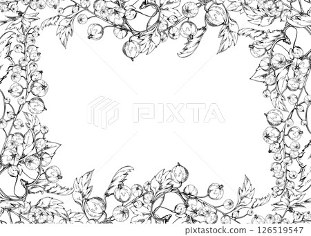 Currant gooseberry with green leaves on branch, hand drawn in vector ink, ripe garden berry juneberry casseille jostaberry cluster group. Isolated border frame for craft menu, farmers market grocery 126519547