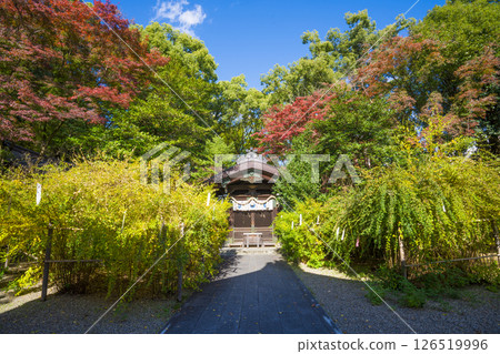 京都Ariki寺廟秋葉 京都Ariki寺廟秋葉 126519996