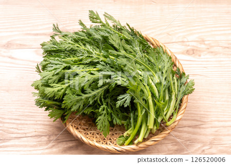 食用菊花 食用菊花 126520006
