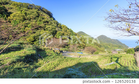 Ishibe Rice Terraces in Autumn Ishibe Rice Terraces in Autumn 126520138