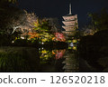 照亮東寺 126520218