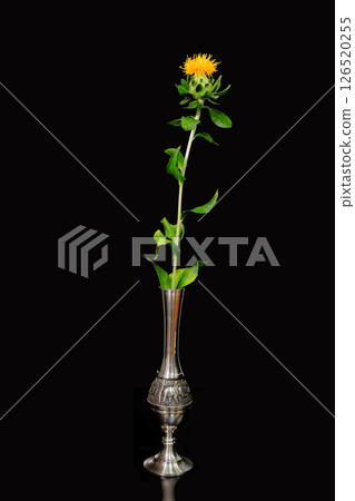 花瓶裡的紅花 花瓶裡的紅花 126520255