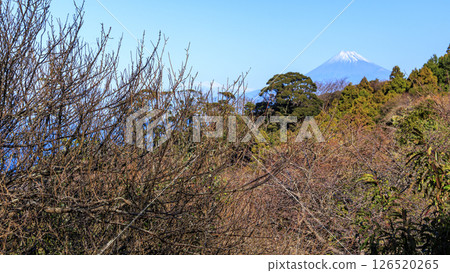 冬季的石塚梯田 126520265