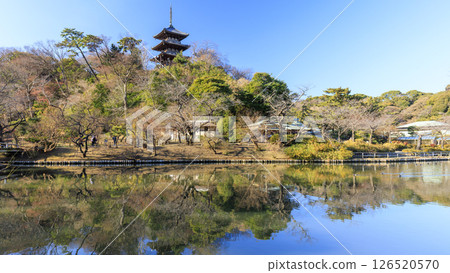 冬季三生公園 冬季三生公園 126520570