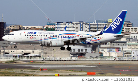 ANA B737-800 Expo painted aircraft approaching Fukuoka Airport 126521035