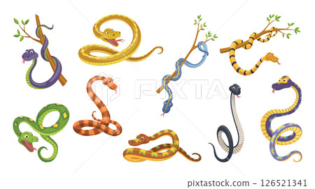 Set of cartoon color snake in various poses. Cute smiling animals, funny reptile of wild tropical nature. Flat vector isolated illustrations for kids design 126521341