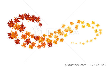 Autumn leaves design element. Fall colorful maple leaves border on white background. Vector illustration 126521342