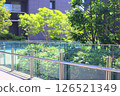 Trees and office area 126521349