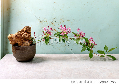 Wooden Root with Pink Flowers Stem Wooden Root with Pink Flowers Stem 126521799