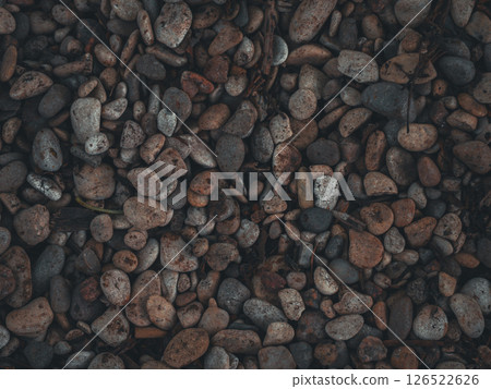 Wet pebbles of various colors and textures create a beautiful and natural backdrop, perfect for adding a touch of nature to any project. Beautiful it is made of multi-colored sea pebbles. Wet pebbles of various colors and textures create a beautiful and natural backdrop, perfect for adding a touch of nature to any project. Beautiful it is made of multi-colored sea pebbles. 126522626