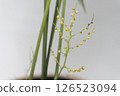 表棕櫚花 126523094