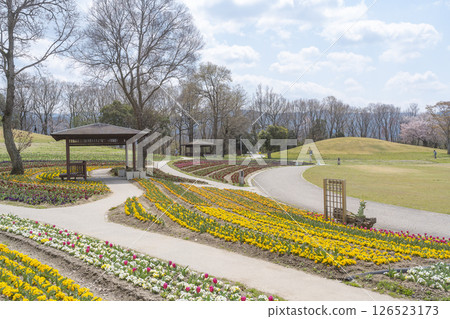 國營的讚岐manpoku公園 國營的讚岐manpoku公園 126523173