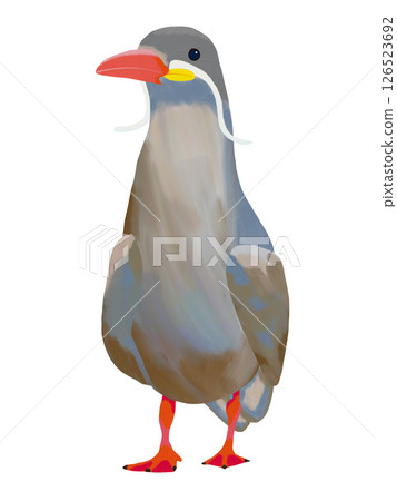 Illustration of Inca tern drawn with oil brush Wild bird Clip art Illustration PNG Illustration of Inca tern drawn with oil brush Wild bird Clip art Illustration PNG 126523692