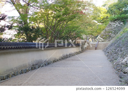 View of the approach to Wakayama Castle View of the approach to Wakayama Castle 126524099