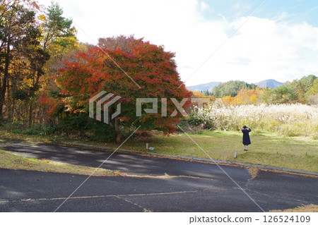 Autumn scenery at the foot of Mt. 126524109