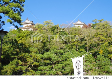 Wakayama Castle Autumn Scenery 126524118