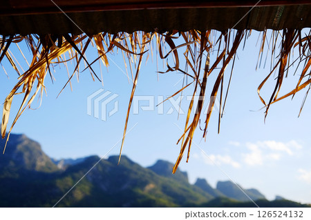 Beautiful landscape of valley Doiluang Chiangdao mountain and the eaves of a dry thatched in Chiangmai Province of Thailand. Traditional Local house 126524132