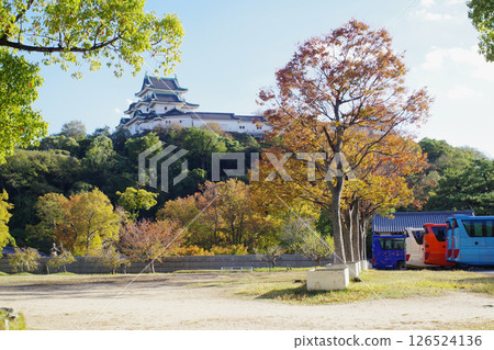 Wakayama Castle Autumn Scenery 126524136