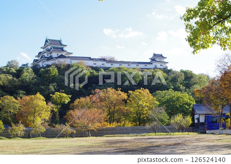 Wakayama Castle Autumn Scenery 126524140