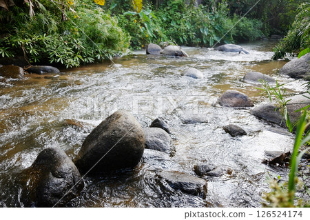 Rocky and stone on fresh stream and waterfall in natural tropical forest of Thailand Rocky and stone on fresh stream and waterfall in natural tropical forest of Thailand 126524174