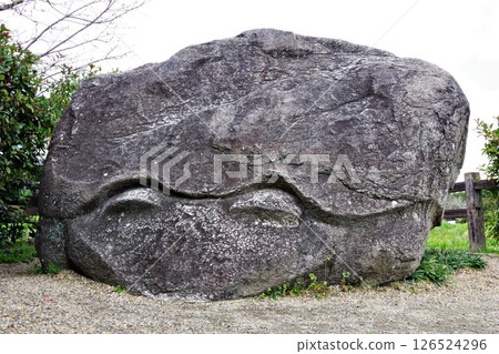 A close-up of the legendary Kameishi, a famous landmark in Nara 126524296