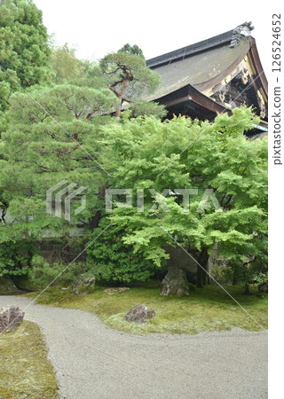 The Imperial Palace Garden at Sennyuji Temple in early summer (Higashiyama Ward, Kyoto City) 126524652