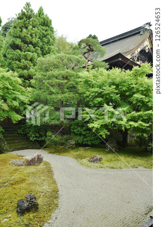The Imperial Palace Garden at Sennyuji Temple in early summer (Higashiyama Ward, Kyoto City) 126524653