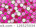 Colorful cosmos background image 126525034