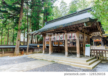 Early summer at Suwa Taisha Kamisha Honmiya, Suwa City, Nagano Prefecture Early summer at Suwa Taisha Kamisha Honmiya, Suwa City, Nagano Prefecture 126526016