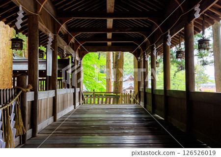 Early summer at Suwa Taisha Kamisha Honmiya, Suwa City, Nagano Prefecture 126526019