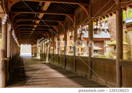 長野縣詰訪市詰訪大社上社本宮的初夏 126526023