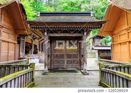 長野縣詰訪市詰訪大社上社本宮的初夏 126526024