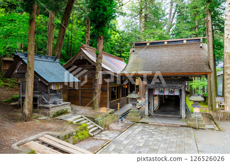 長野縣詰訪市詰訪大社上社本宮的初夏 126526026