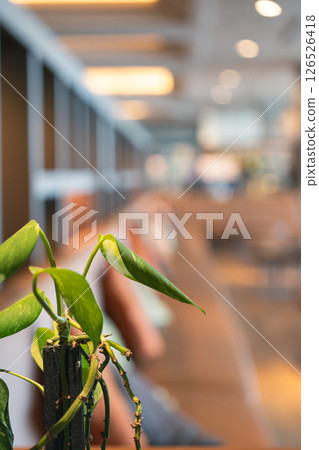 時尚的內飾 126526418
