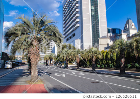 海濱幕張站及週邊道路 / 千葉縣千葉市美濱區日比野1丁目 海濱幕張站及週邊道路 / 千葉縣千葉市美濱區日比野1丁目 126526511